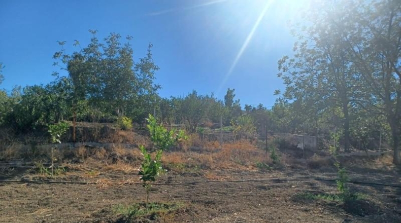 Málaga - Coín - 60m2