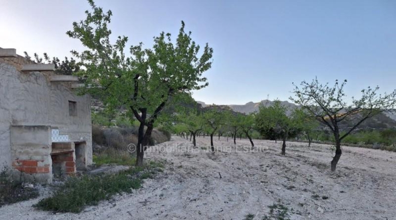 Alicante - Relleu - 42000m2
