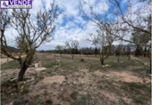 Casa de camp amb terreny en venda a la España, Salines, ref.: TR345512 foto