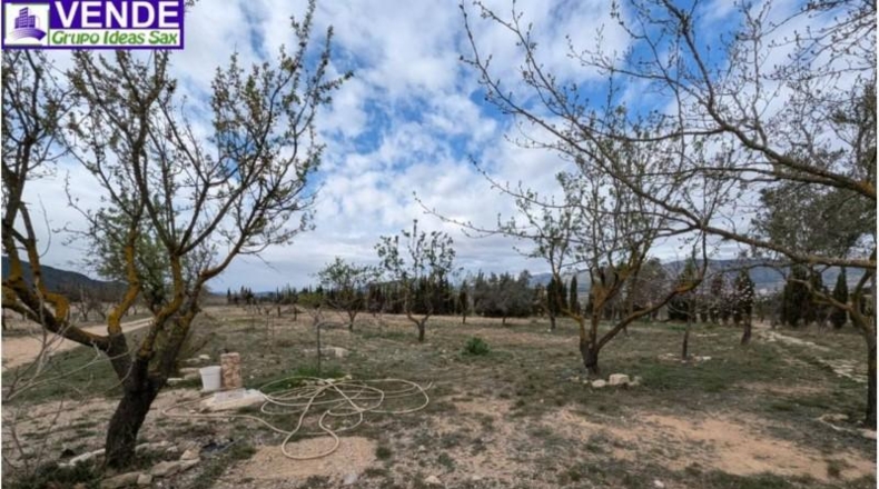 Alicante - Salinas - 10500m2