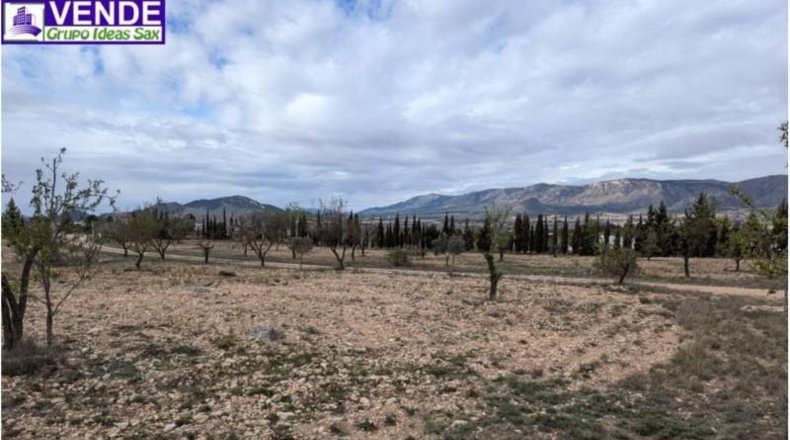 Alicante - Salinas - 10500m2