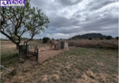 Casa de camp amb terreny en venda a la España, Salines, ref.: TR345512 foto