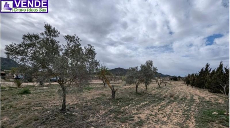 Alicante - Salinas - 10500m2