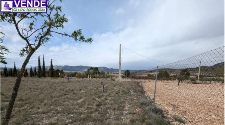 Alicante - Salinas - 10500m2