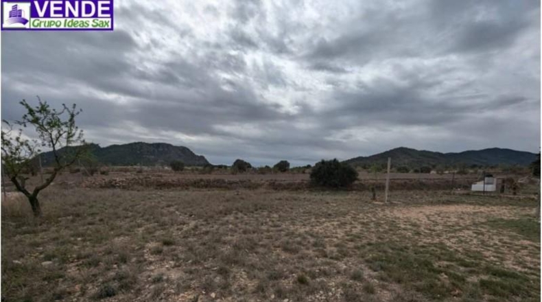 Alicante - Salinas - 10500m2