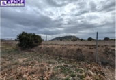 Casa de camp amb terreny en venda a la España, Salines, ref.: TR345512 foto