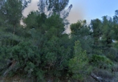 Land suitable for development for sale on España, Pego, ref: TR313348 photo
