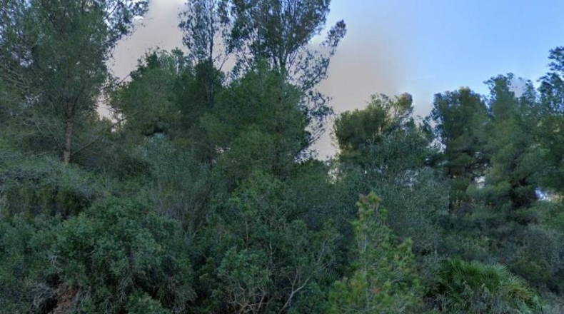 Valencia - Godella - 17450m2