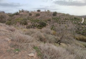Xalet independent amb terreny en venda a la España, Alhaurín el Grande, ref.: TR158779 foto
