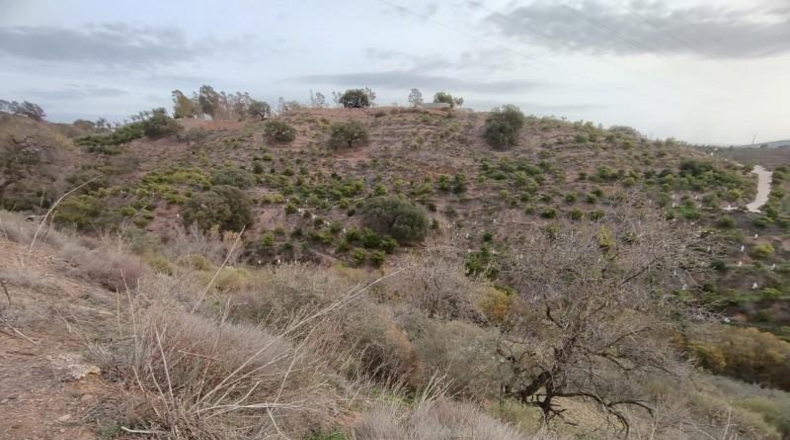 Málaga - Alhaurín el Grande - 26400m2