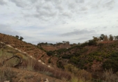 Xalet independent amb terreny en venda a la España, Alhaurín el Grande, ref.: TR158779 foto
