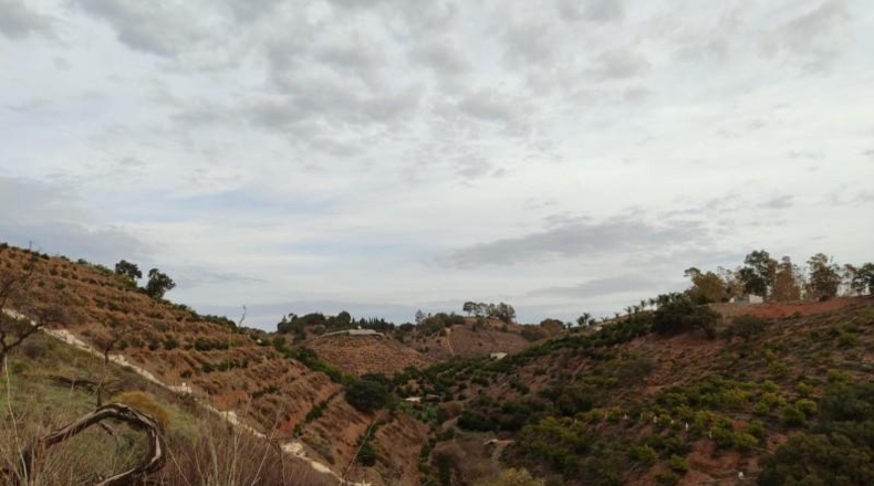 Málaga - Alhaurín el Grande - 26400m2