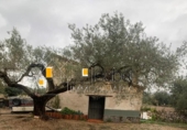 Casa de camp amb terreny en venda a la España, Camarles, ref.: TR246127 foto