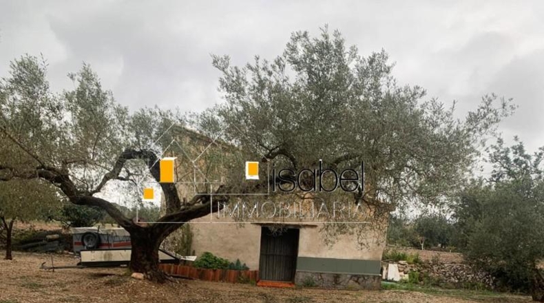 Tarragona - Camarles - 20504m2