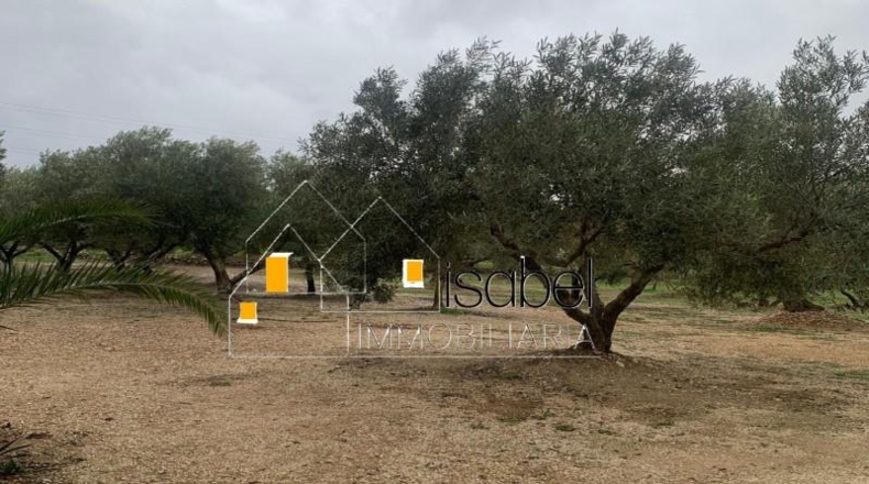 Tarragona - Camarles - 20504m2