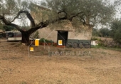 Casa de camp amb terreny en venda a la España, Camarles, ref.: TR246127 foto