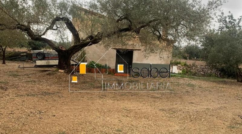 Tarragona - Camarles - 20504m2
