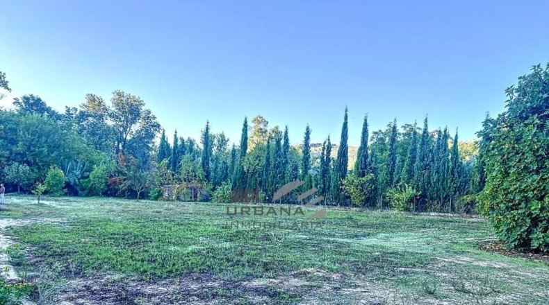 Córdoba - Rute - 2303m2