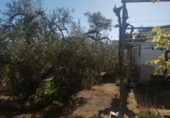 Xalet independent amb terreny en venda a la España, Riudoms, ref.: TR151765 foto