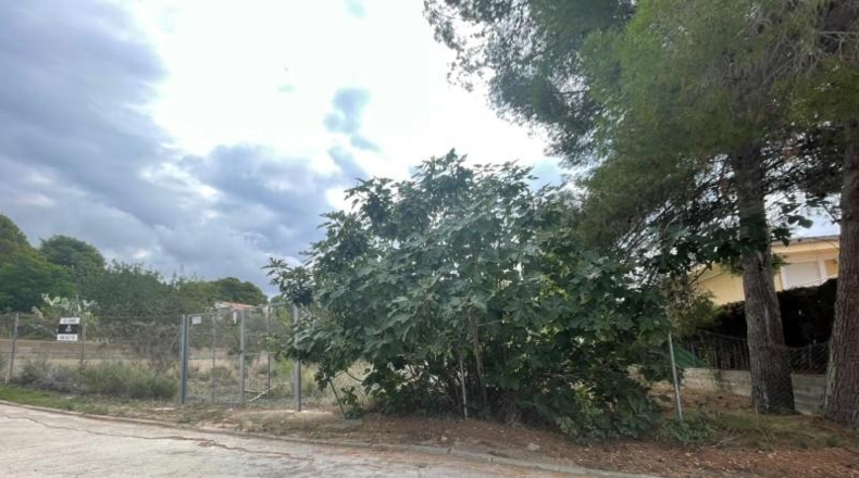 Valencia - Liria - 1326m2