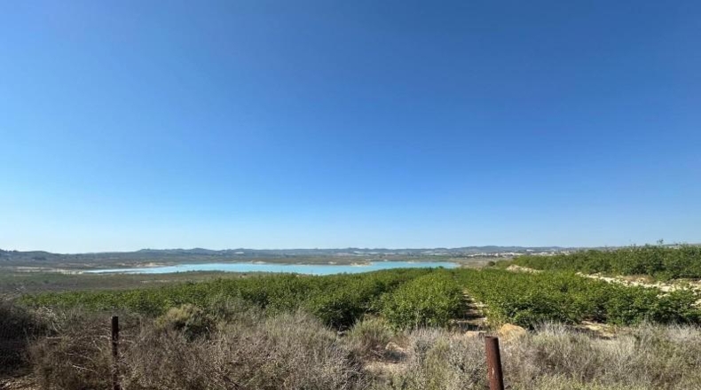 Alicante - Orihuela - 20000m2