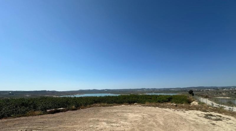 Alicante - Orihuela - 20000m2