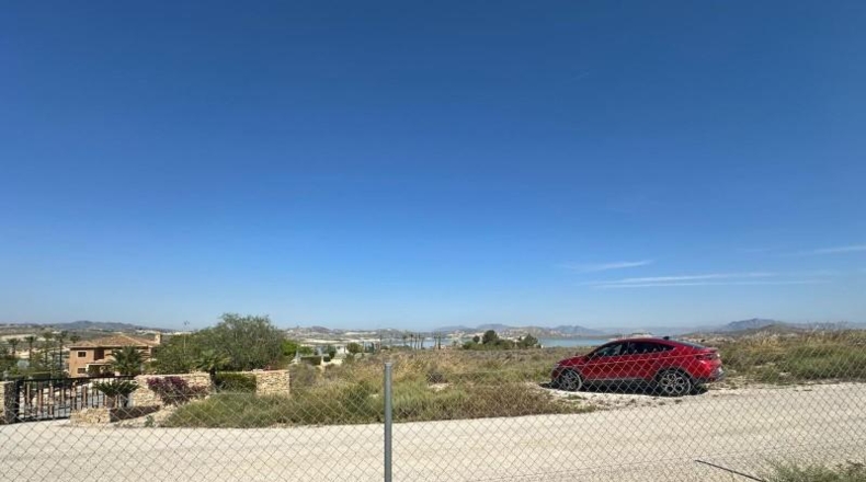 Alicante - Orihuela - 20000m2