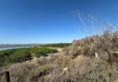 Non-developable land for sale on España, Orihuela, ref: TR255968 photo