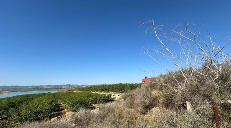 Alicante - Orihuela - 20000m2