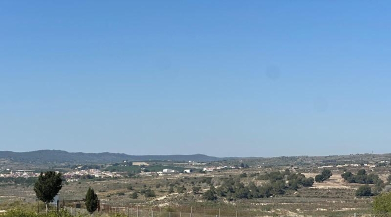 Alicante - Orihuela - 20000m2