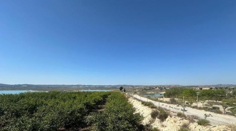 Alicante - Orihuela - 20000m2