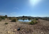 Non-developable land for sale on España, Orihuela, ref: TR255968 photo