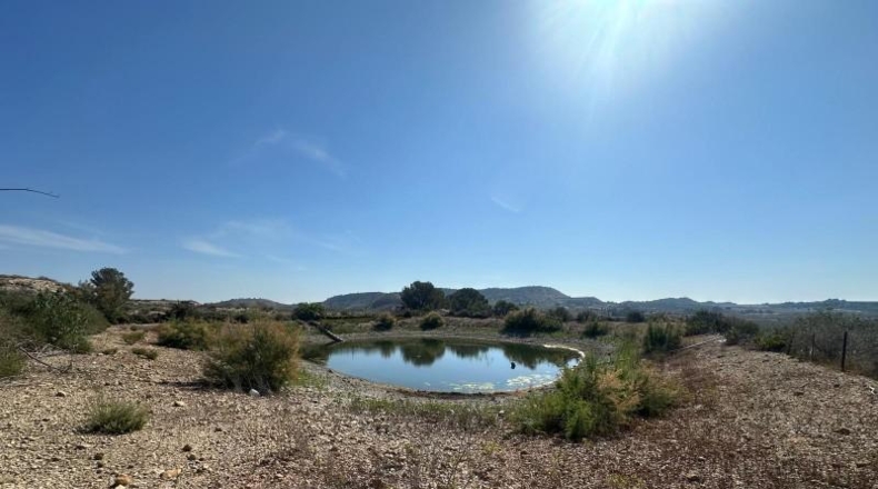 Alicante - Orihuela - 20000m2