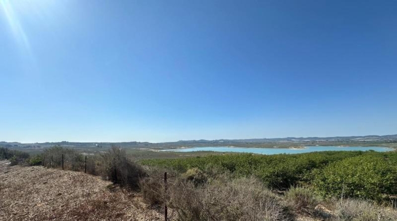 Alicante - Orihuela - 20000m2