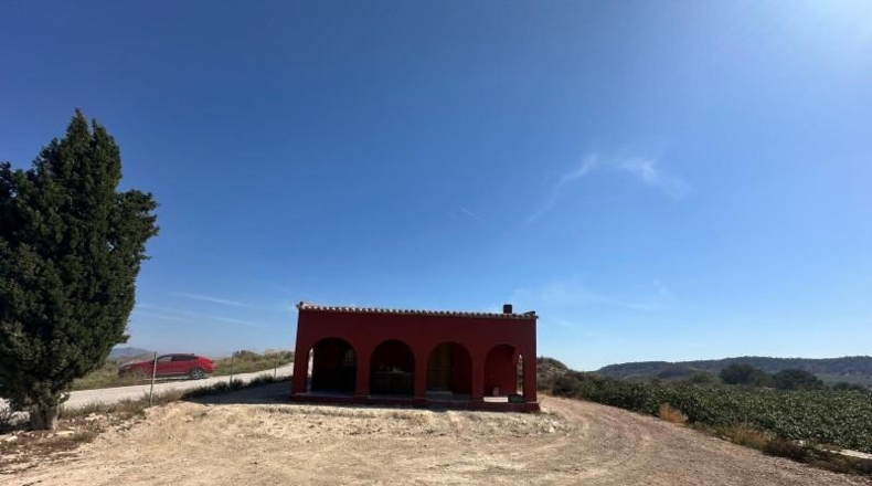 Alicante - Orihuela - 20000m2