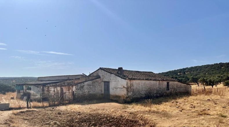 Córdoba - Fuente Obejuna - 257600m2
