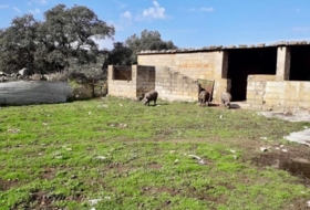 Fuente Obejuna 257600&nbsp;m² 