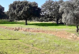 Fuente Obejuna 257600&nbsp;m² 