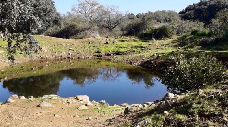 Córdoba - Fuente Obejuna - 257600m2