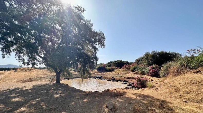 Córdoba - Fuente Obejuna - 257600m2