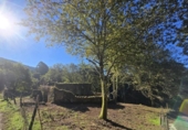 Non-developable land for sale on España, Gondomar, ref: TR344273 photo