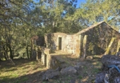 Non-developable land for sale on España, Gondomar, ref: TR344273 photo