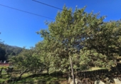Non-developable land for sale on España, Gondomar, ref: TR344273 photo