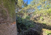 Non-developable land for sale on España, Gondomar, ref: TR344273 photo