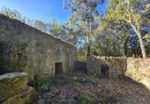 Non-developable land for sale on España, Gondomar, ref: TR344273 photo