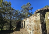 Non-developable land for sale on España, Gondomar, ref: TR344273 photo