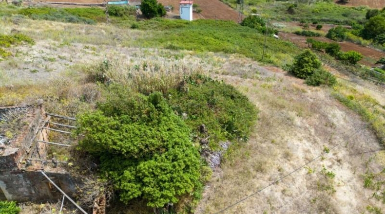 Santa Cruz de Tenerife - Tegueste - 2929m2