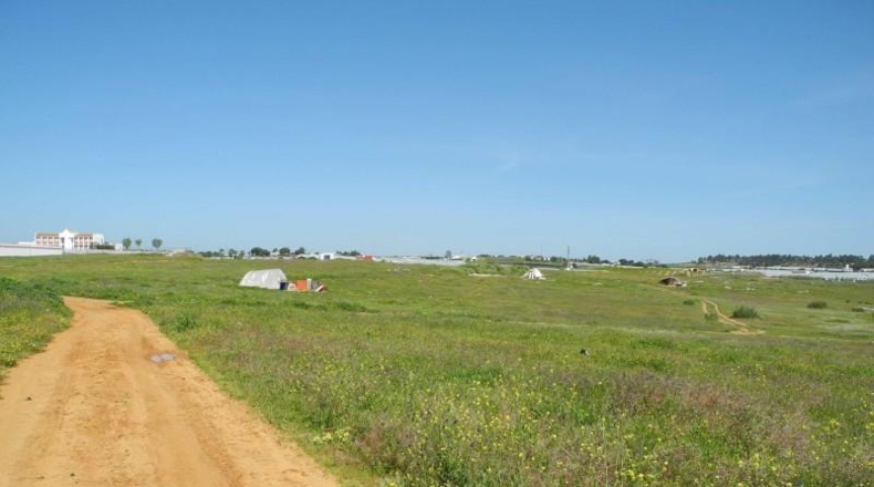 Huelva - Lepe - 3491m2