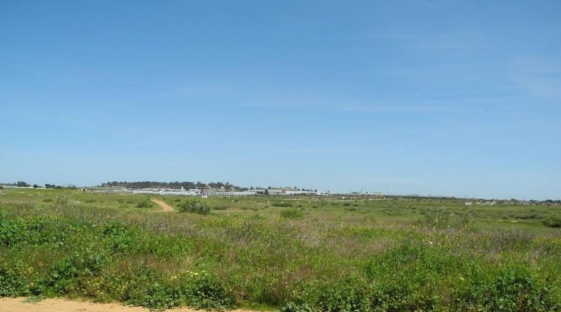 Huelva - Lepe - 3491m2