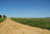 Urban land for sale on España, Lepe, ref: TR263902 photo